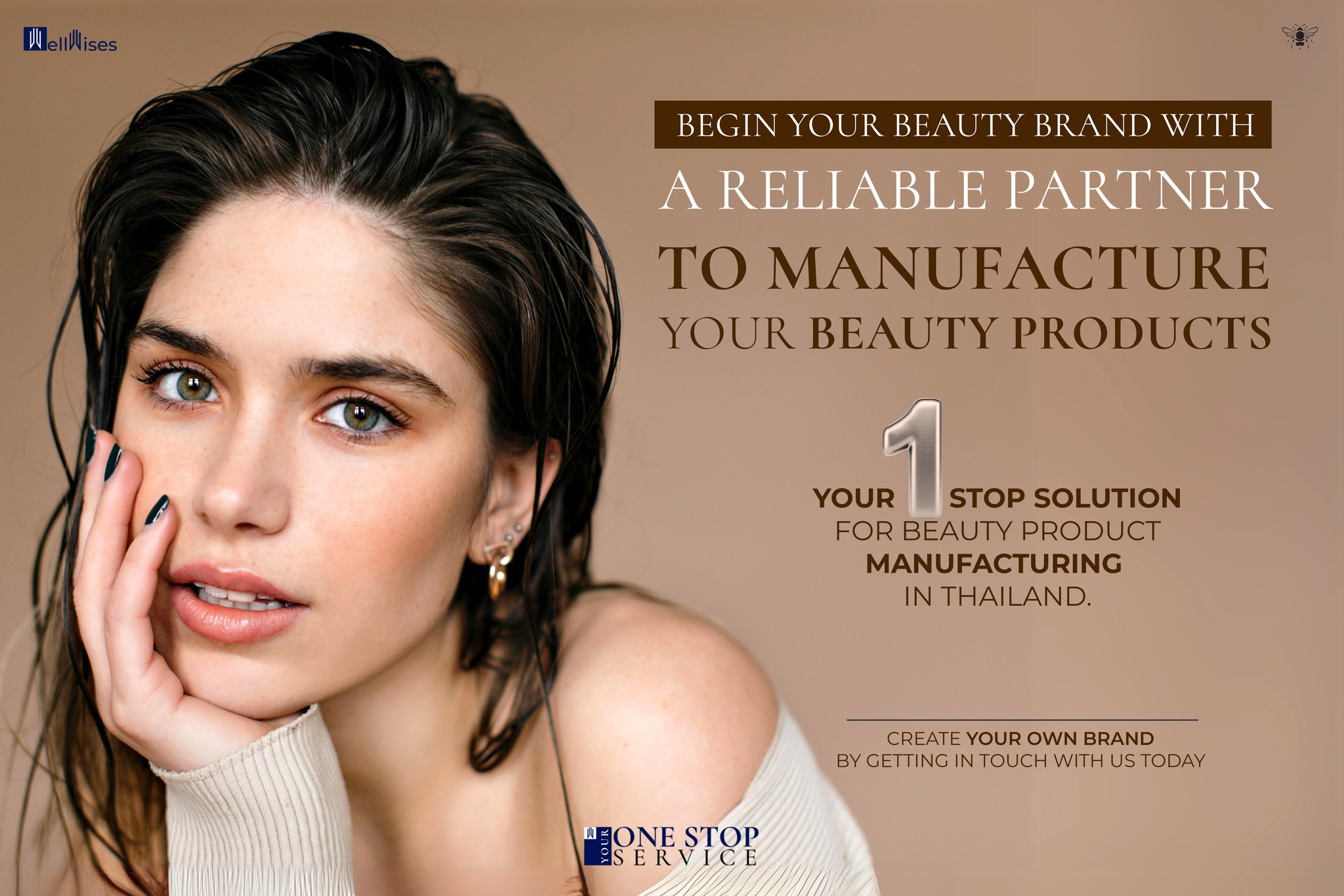 Wellwises ad preview