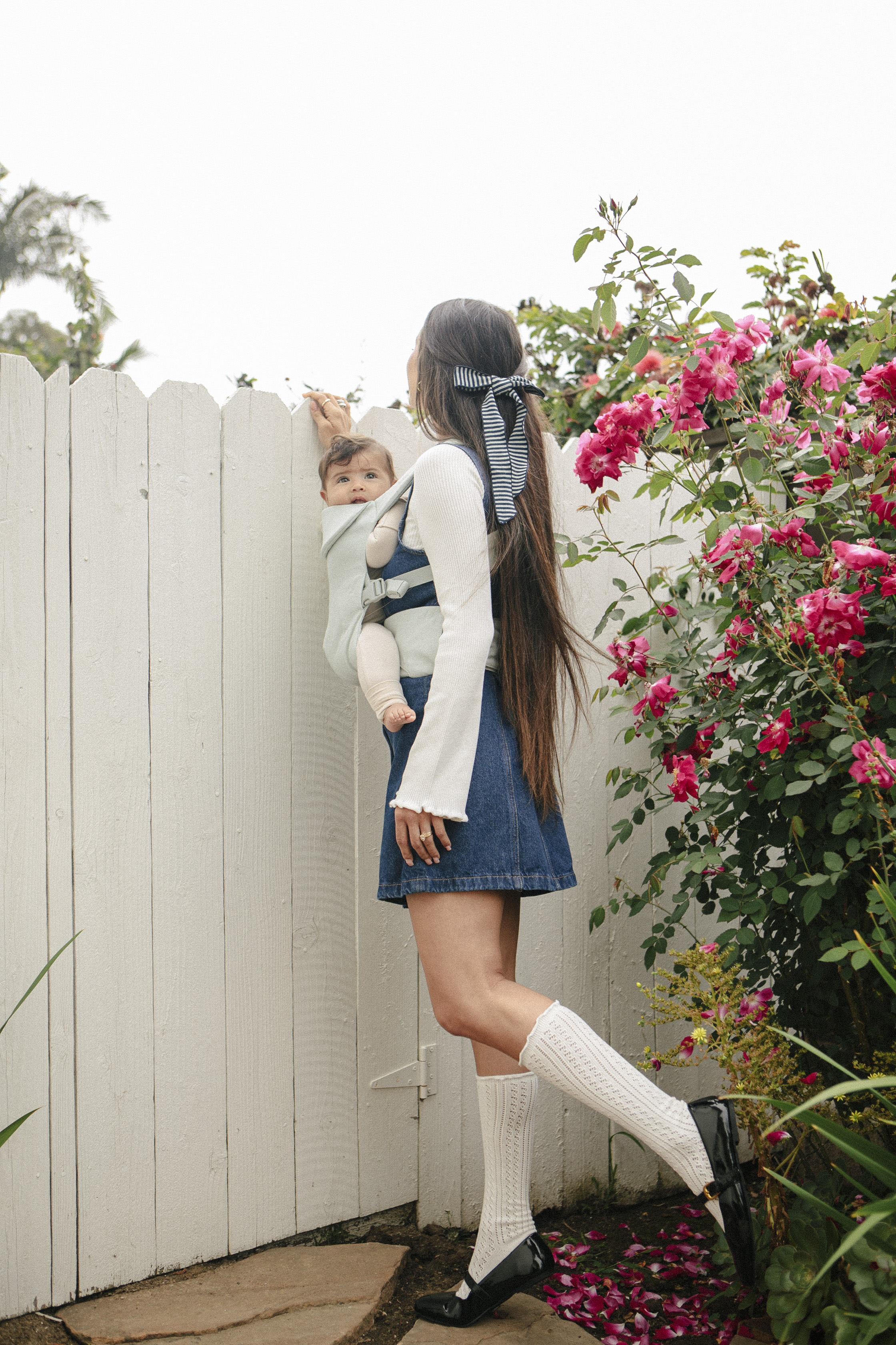 WildBird ad preview