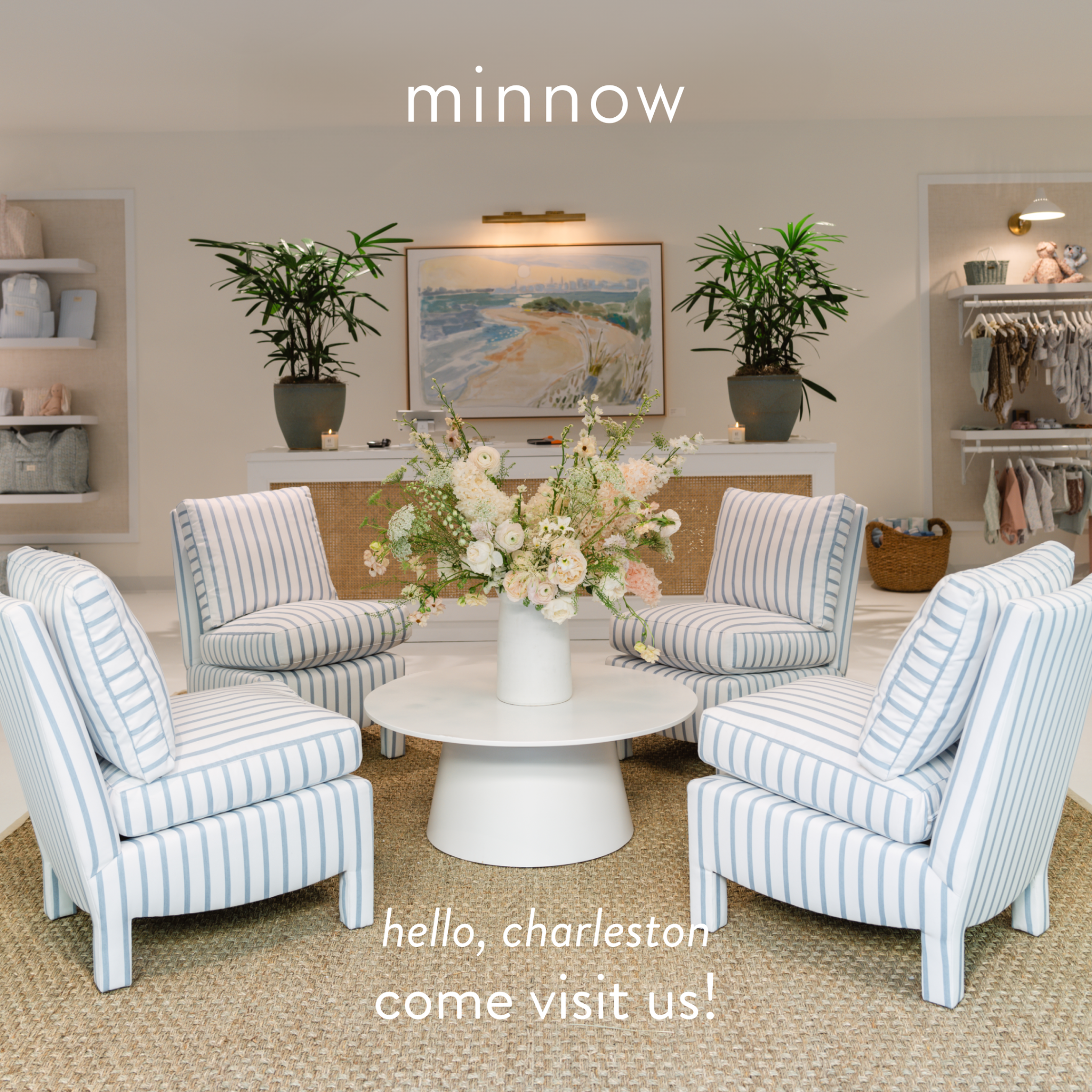 Minnow ad preview