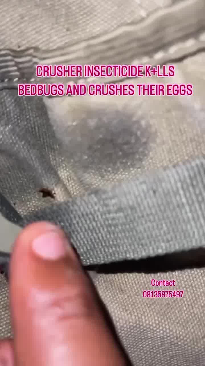 Crusher Pestoremedy Fumigation ad preview