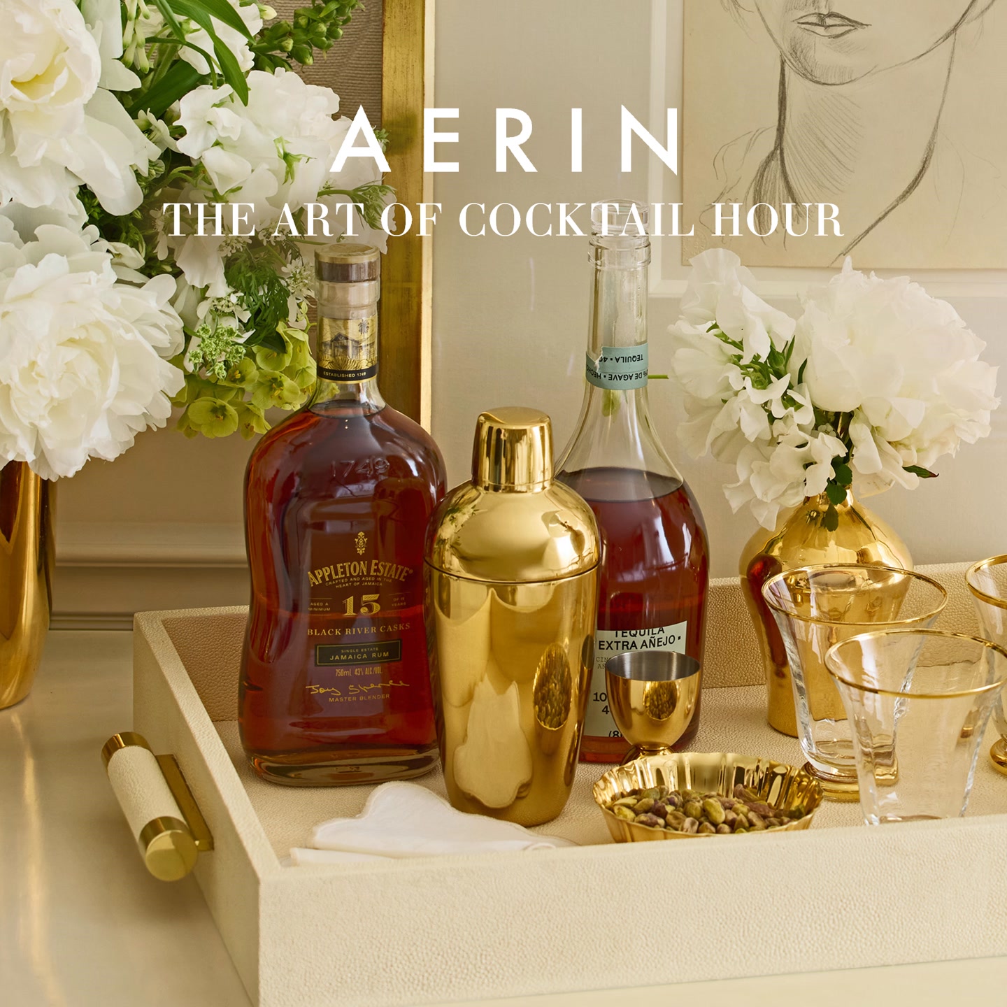 AERIN ad preview
